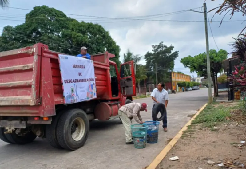 mosquitos_salud