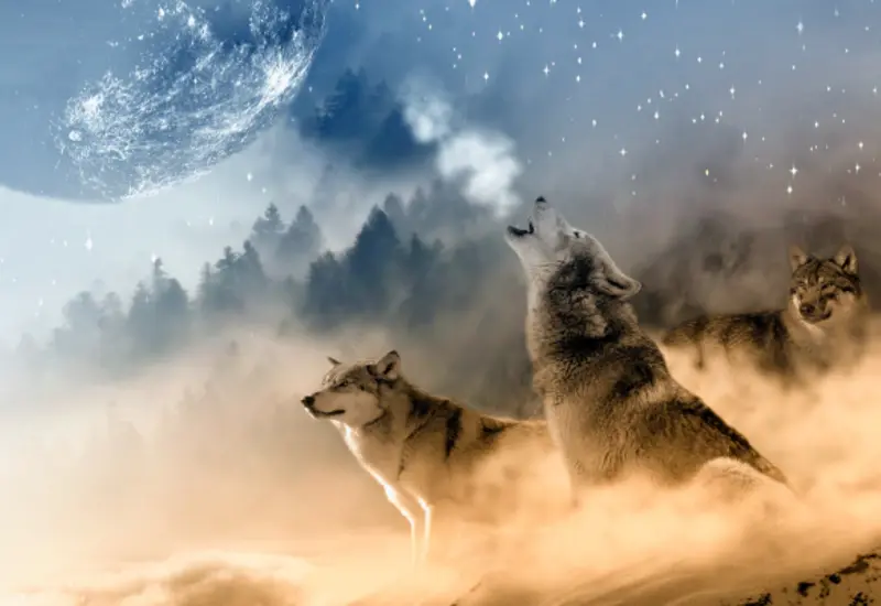 luna_lobo_méxico_qué_es