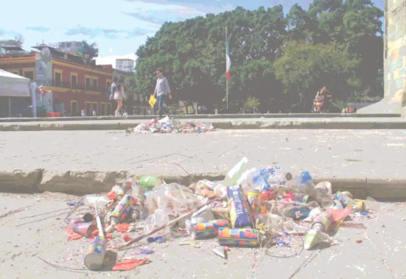 oaxaca_contamición_basura_fiestas