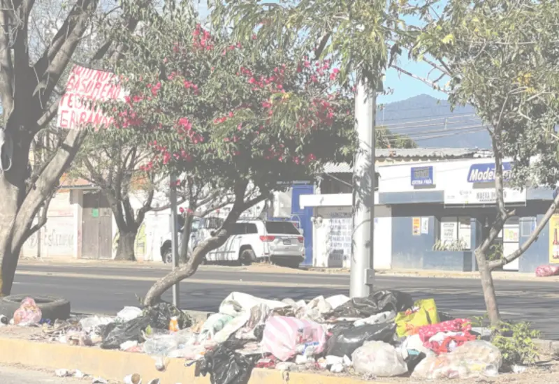 oaxaca_vecinos_basura
