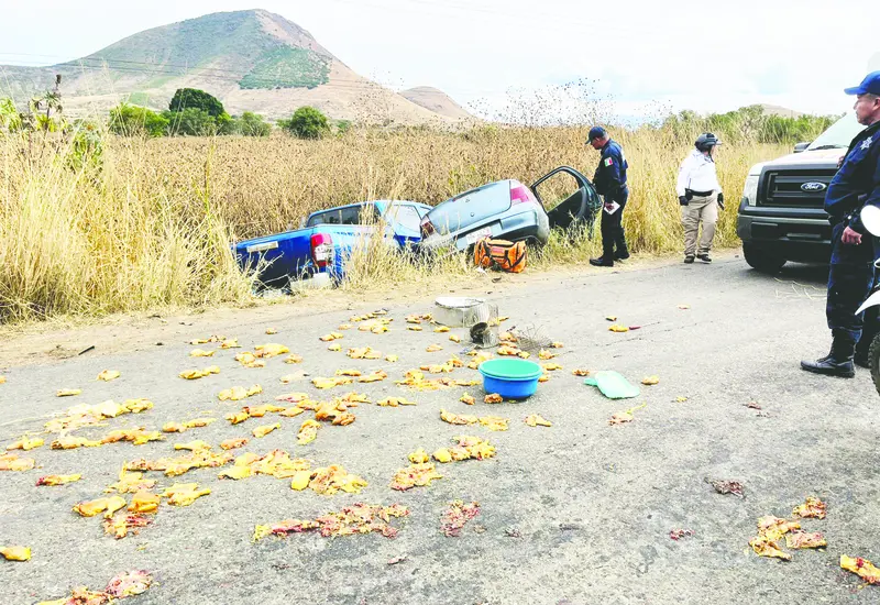 La camioneta trasladaba pollo. El accidente ocurrió en la carretera federal 131.