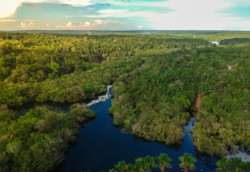 biodiverisdad_méxico