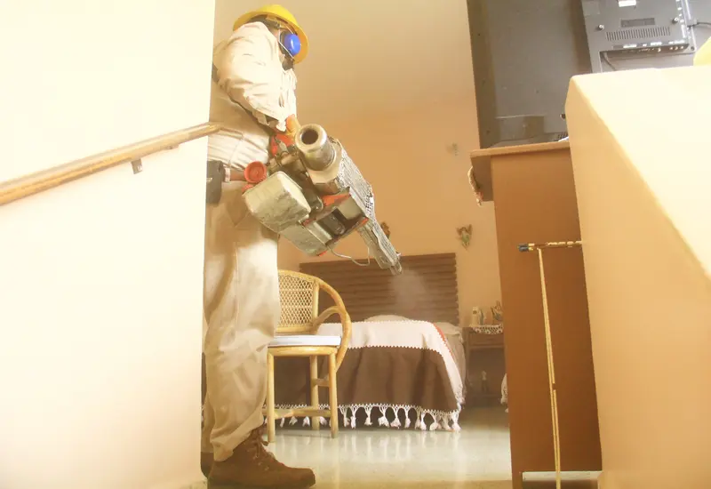 Hasta la semana epidemiológica 3 se confirmaron los 2 primeros casos de dengue.
