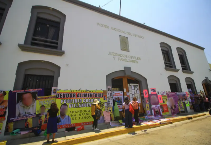 El proceso para quedar inscrito en el Registro de Deudores Alimentarios inicia en los juzgados familiares.