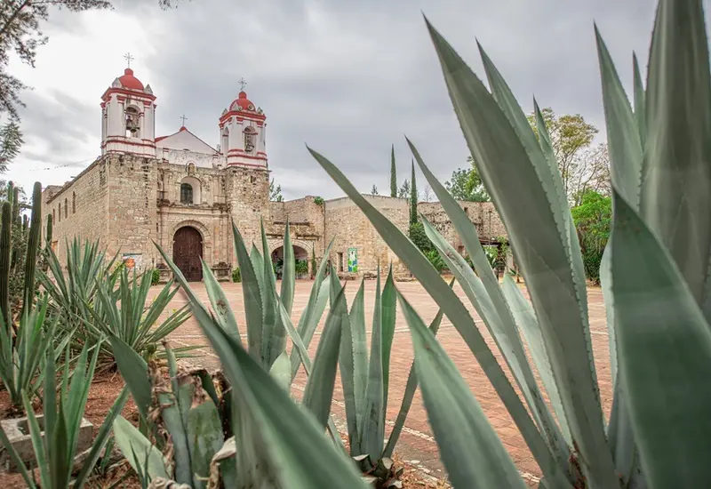 Actividades culturales, deportivas y gastronómicas, se podrán disfrutar esta semana, hasta el 27 de enero, y en la octava el 1 y 2 de febrero.