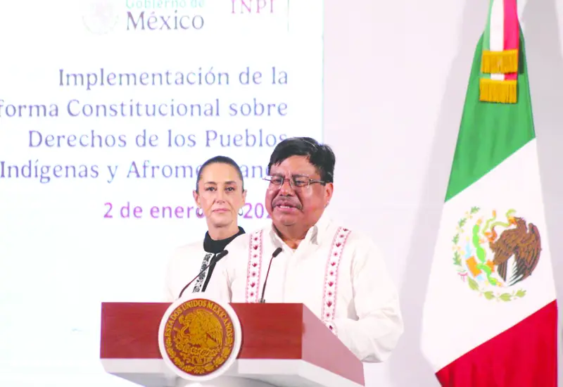 Destaca titular que los progra- mas correspondientes al AT10  deberán observar los criterios  emitidos por el INPI para la implementación y seguimiento.