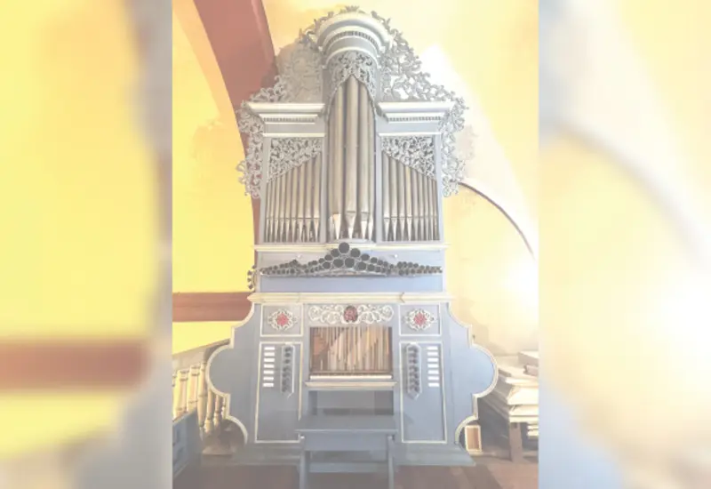 Este órgano fue construido en el año de 1866 por el maestro organero oaxaqueño Pedro Nibra (1832–después de 1908).