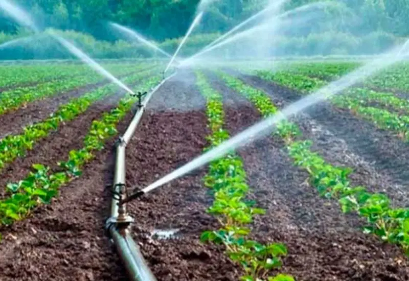 En Oaxaca, el 79% del agua se utiliza para la agricultura y solo el 21% se asigna a la red de agua potable.