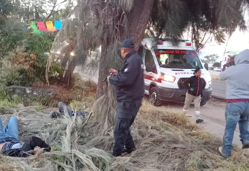 Tres personas quedaron con lesiones al chocar contra un árbol.