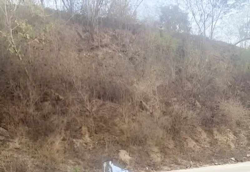 Un hombre de 60 años de edad fue asesinado a balazos.