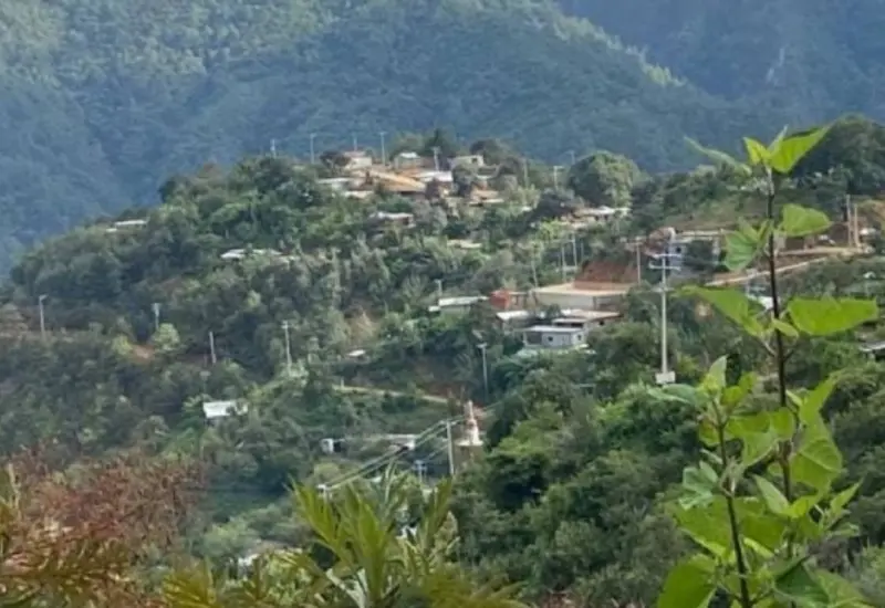 El desmonte atenta contra los manantiales y fuentes de agua.