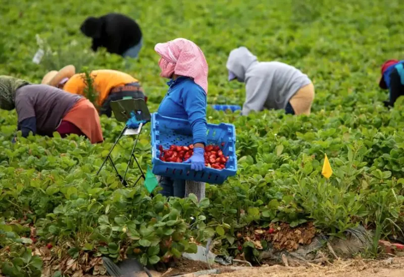 Los ingresos laborales de mexicanos en EU alcanzaron los 373 mil 726 mdd
