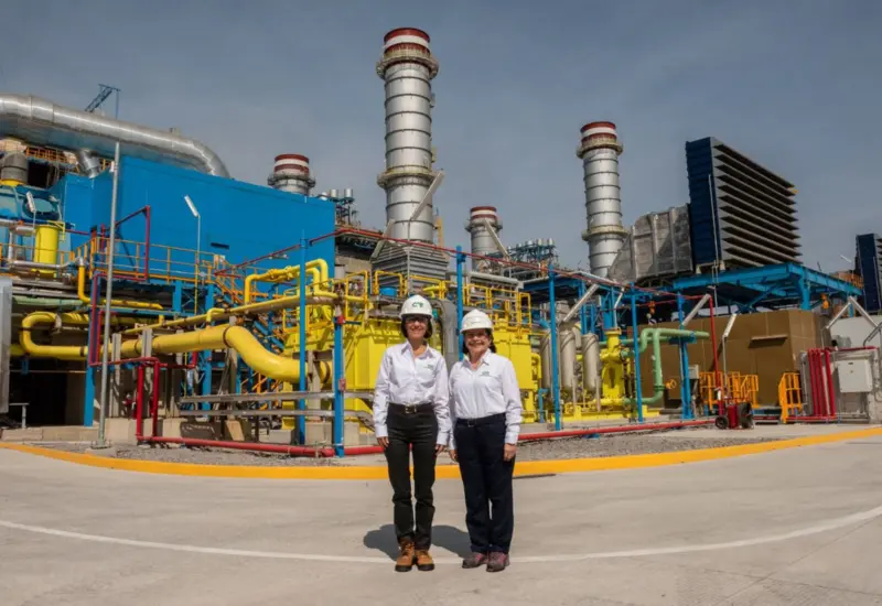 cfe-salamanca-energia