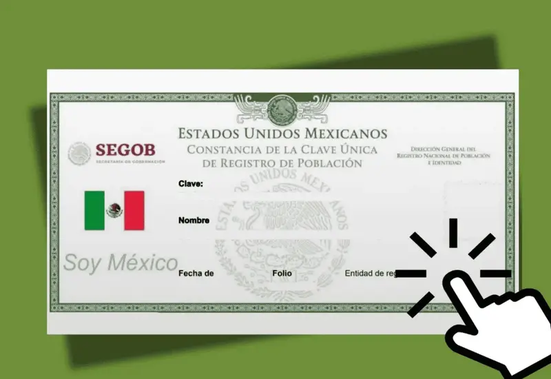 curp-portada