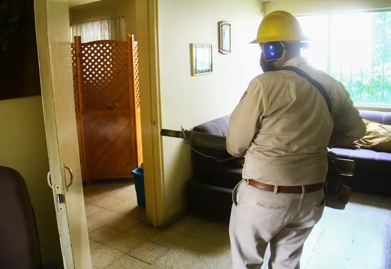 A diferencia de la semana seis del 2024 que ya sumaba 45 casos confirmados, el dengue en este 2025 tiene una disminución del 88% en su incidencia.
