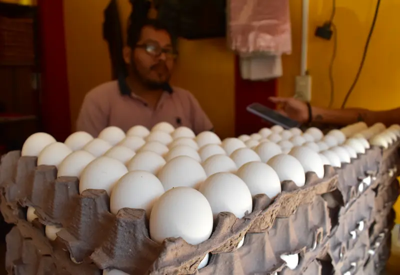 A mediados de enero el cono de huevo lo compraban las familias oaxaqueñas a 77 pesos, ahora requieren de 100 pesos para la misma cantidad.