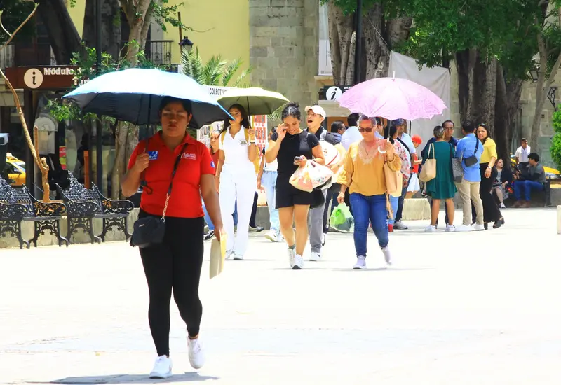 Este año se esperan de 3 a 4 olas de calor.