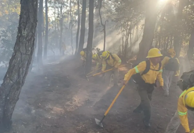 Los tres primeros incendios que reportó Oaxaca en la semana reciente abarcan un daño de 6.48 hectáreas.