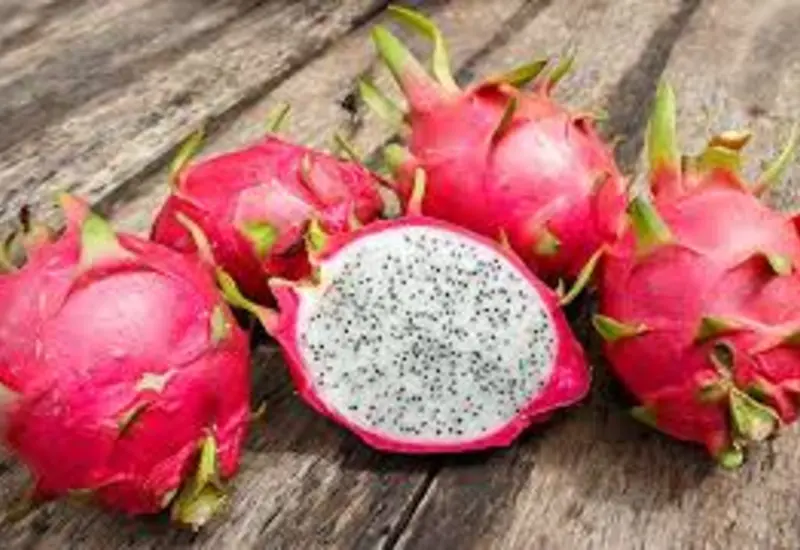 La producción de la pitaya es muy redituable.
