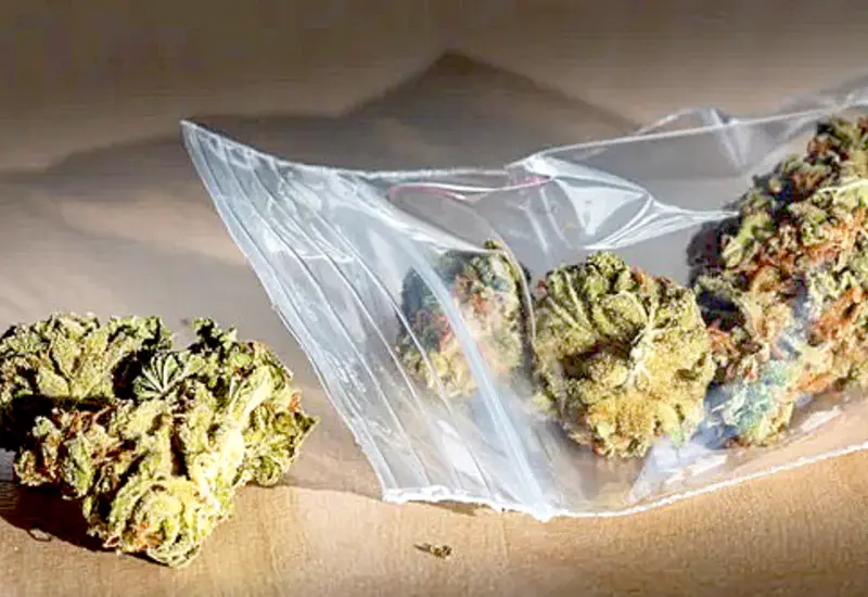 detenido_marihuana