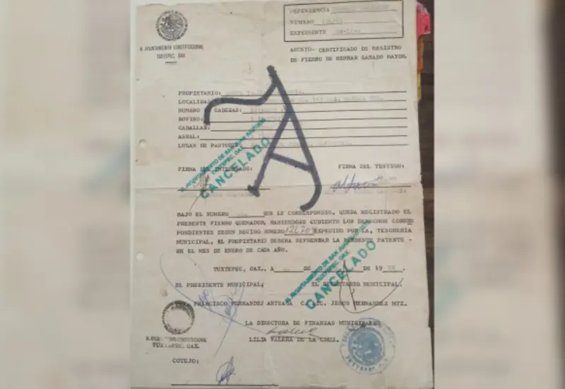 documento_historia