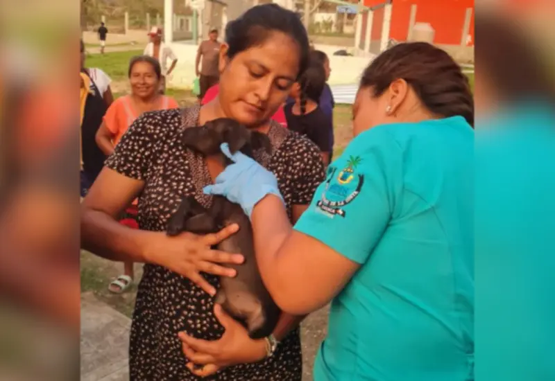 animales_revision_salud