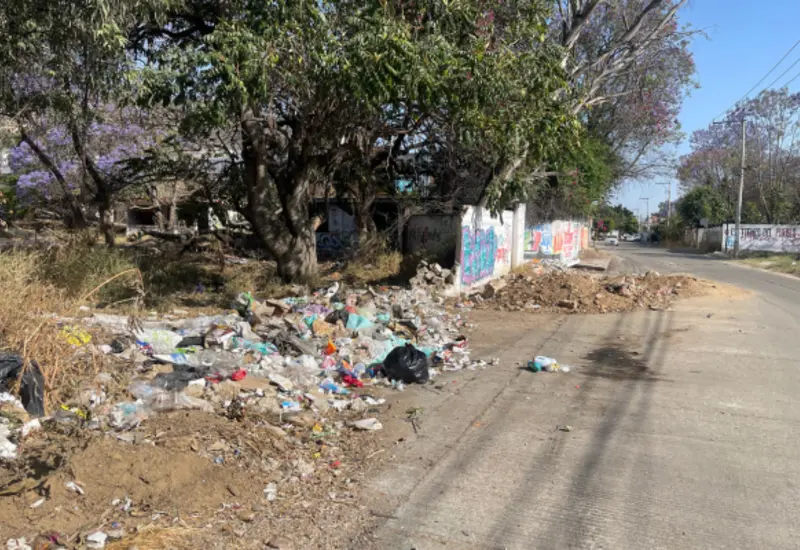 basura_santa_rosa