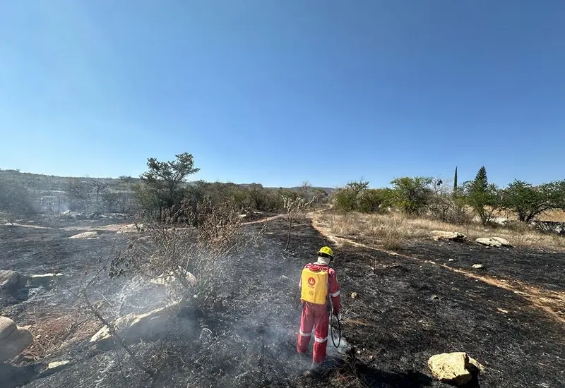 La Mixteca es una región de riesgo en la temporada de incendios forestales.