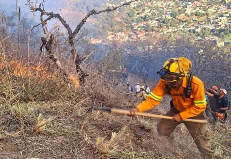 La brigada de combatientes con sede en Tlalixtac de Cabrera, de la Comisión Estatal Forestal (Coesfo) logró liquidar el incendio forestal en Ixtlán de Juárez.