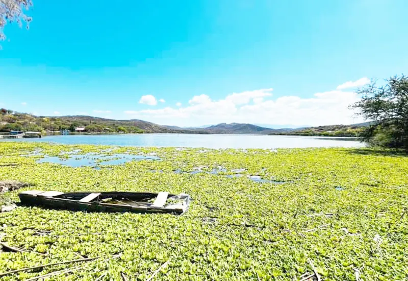 El sistema de agua se restablecerá en los siguientes días al 100% en la colonia Alta Vista de Juárez.