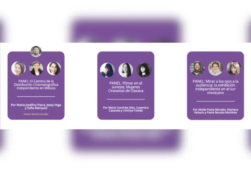 Talleres de formación que dialoguen con la temática de cada uno de los ejes con los cuales se busca conectar con creadores y expertos del cine para ampliar el panorama de temática.
