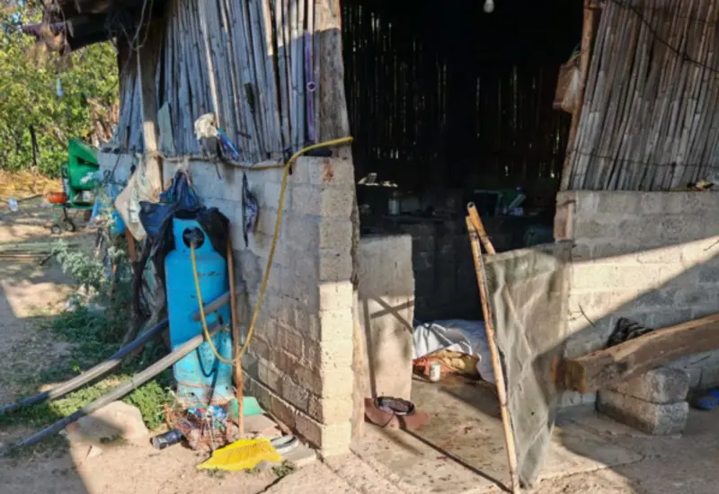 Muere atacado por abejas.