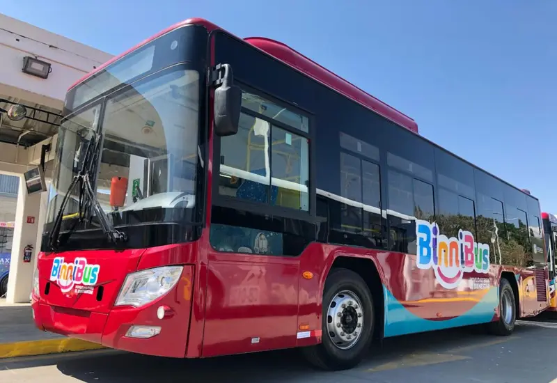 binnibus
