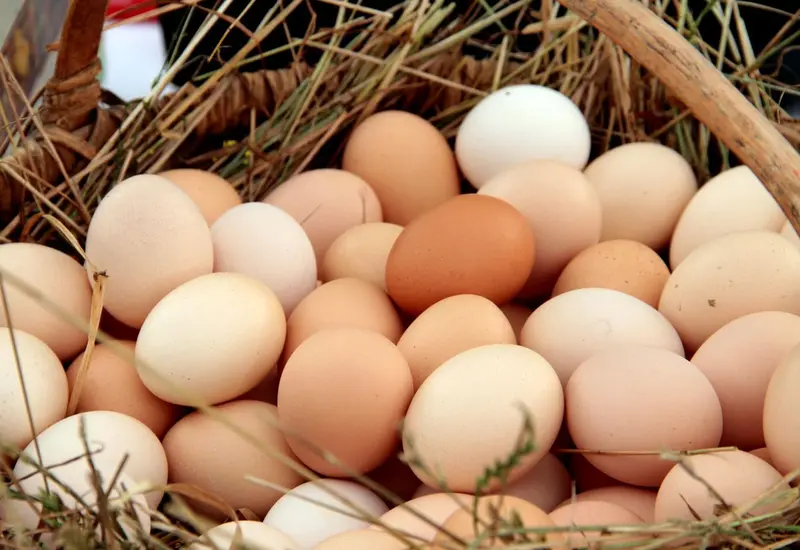 huevos