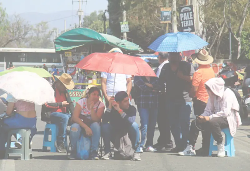 manifestaciones_oaxaca