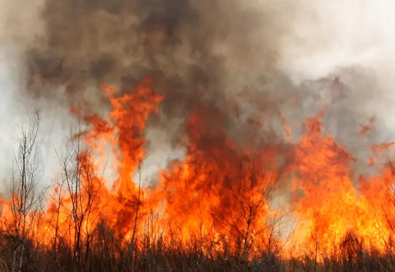 La temporada de incendios se adelantó este 2025.