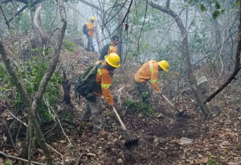 Controlan-incendio-Mazatlán-Flores-1