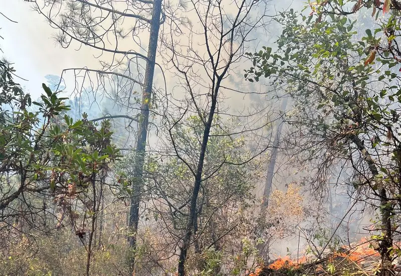 incvendios_forestales