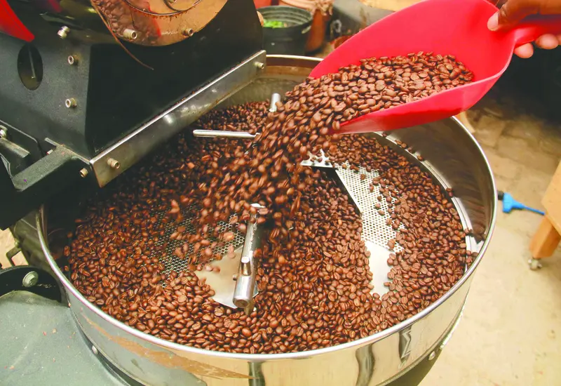 oaxaca-líder-café-especialidad-1.jpg 