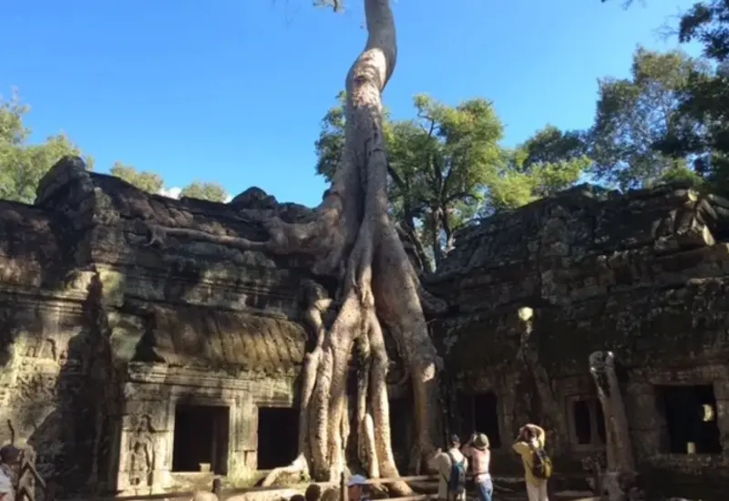 Una fotografía de los imponentes y antiguos templos de Camboya, que muestra la detallada arquitectura de piedra en medio de un paisaje selvático.