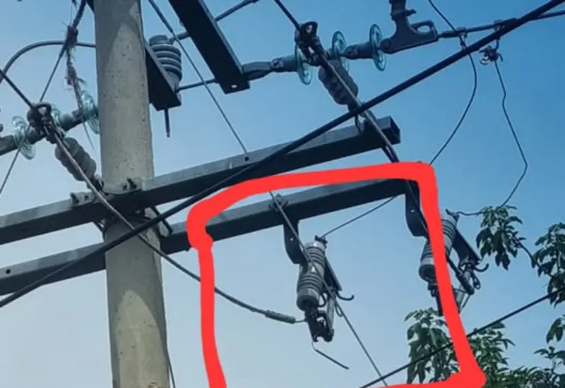 Una ardilla sobre el tendido eléctrico haciendo contacto con los cables, lo que daña las cuchillas de los transformadores y provoca fallas.