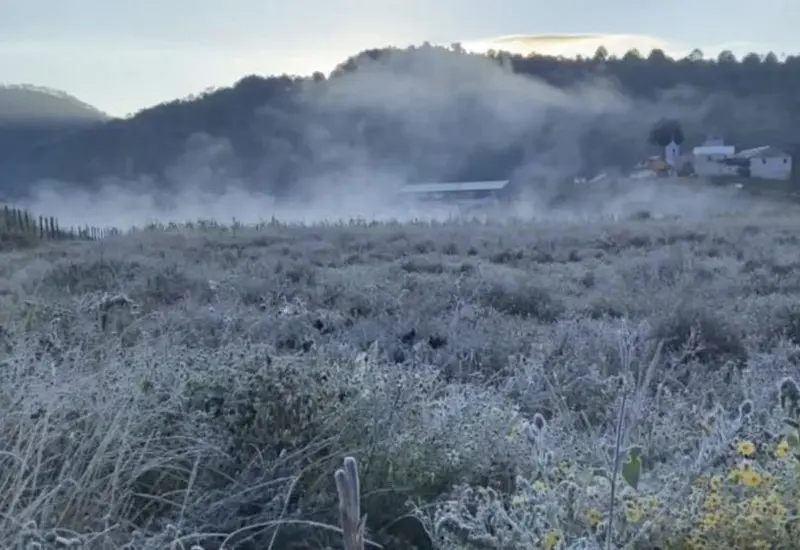 Paisaje de la zona norte de Oaxaca con neblina y bajas temperaturas debido a la llegada de una masa de aire frío de origen ártico.