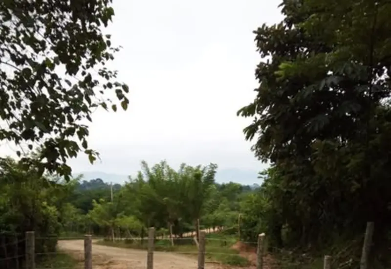 Habitantes de la comunidad de La Soledad, en Guichicovi, bloquean el acceso principal a Brena Torres para denunciar un presunto desvío de recursos.