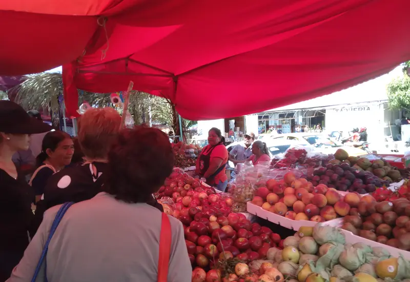 Comerciantes de un mercado en Tehuantepec esperan un significativo repunte en sus ventas, manteniendo la confianza en la recuperación económica de la región.