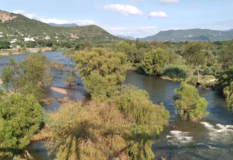 Área verde en Tehuantepec muestra el avance de la deforestación debido a asentamientos humanos y tiraderos clandestinos que deterioran el ambiente.