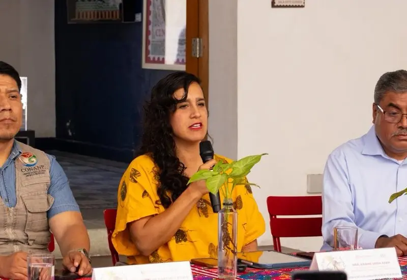 El Centro Cultural y de Convenciones de Oaxaca, que será el punto de encuentro principal para el Festival de las Aves 2025.