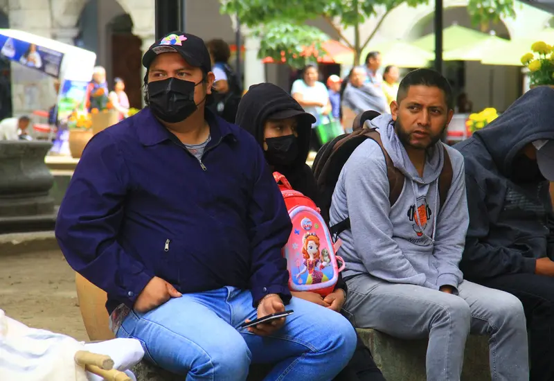 Un árbol caído bloquea una vialidad en Oaxaca, mostrando los efectos y daños causados por los fuertes vientos del Frente Frío 13.