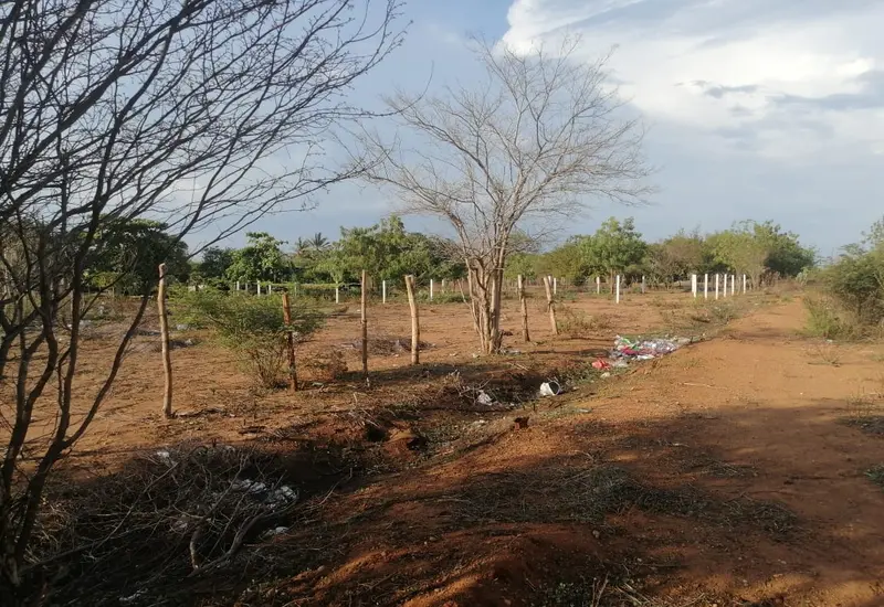 Fuertes vientos del frente frío número 16 azotan la región del Istmo, lo que incrementa el riesgo de incendios en la zona.