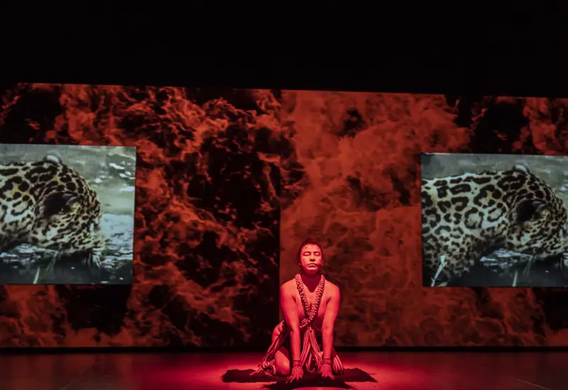 La bailarina Martha Hincapié Charry en una pose expresiva durante su performance de danza 'Amazonia 2040', una crítica al sistema que atenta contra la naturaleza.
