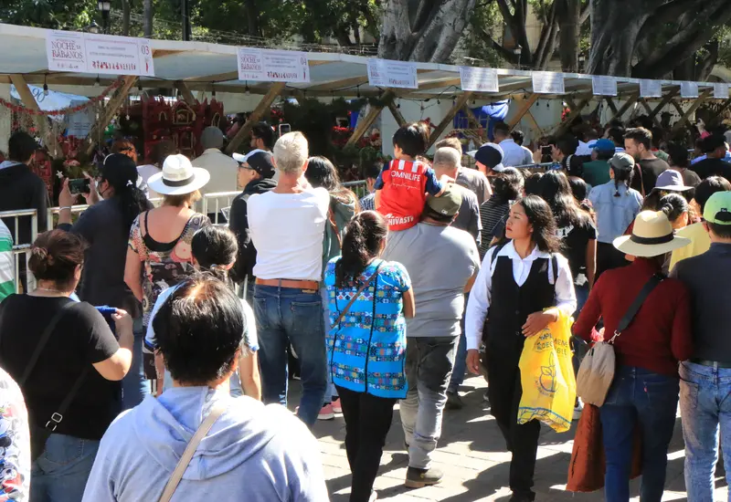 La tradicional Noche de Rábanos en Oaxaca, un evento clave que se espera detone la economía local durante la temporada decembrina.